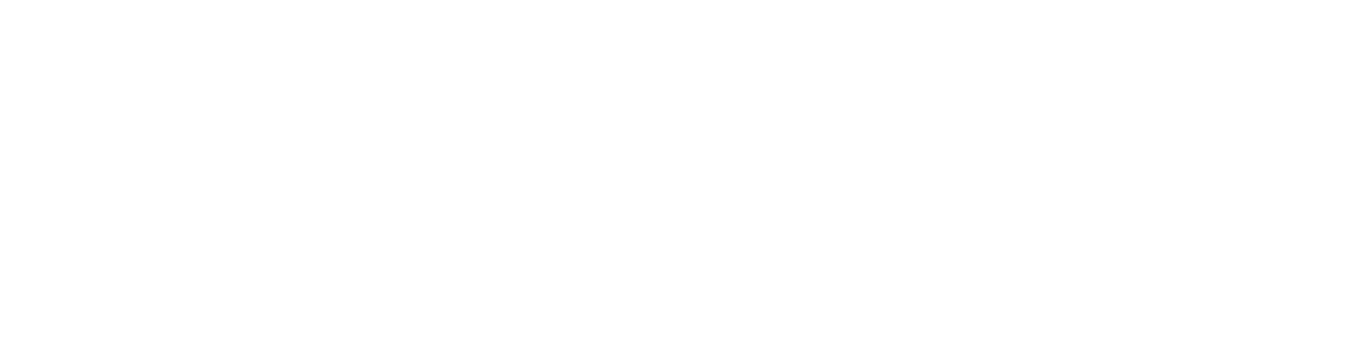 Netsuite