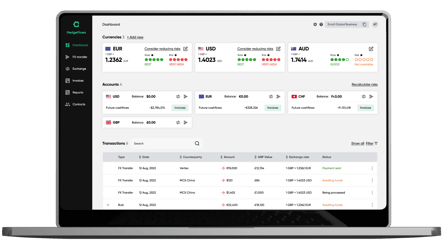 currency risk management system