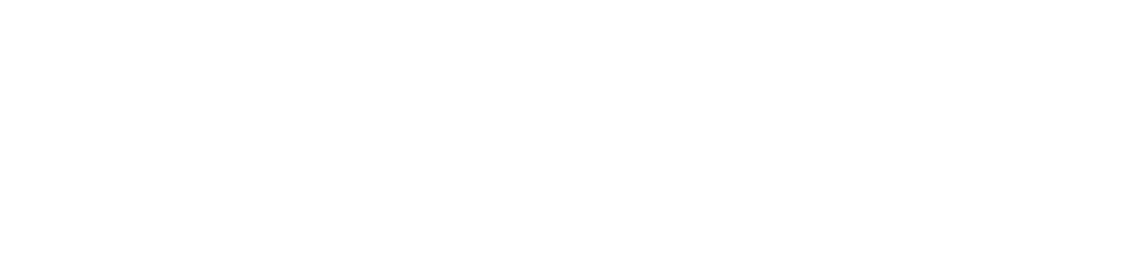 Payment runs for Microsoft Business Dynamics